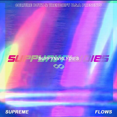 Suppynvrlydies