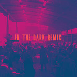 Biig Piig-In the Dark (KAMIRV REMIX)
