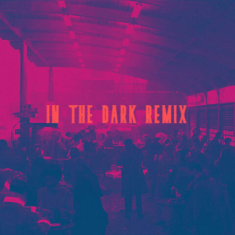 Biig Piig-In the Dark (KAMIRV REMIX)