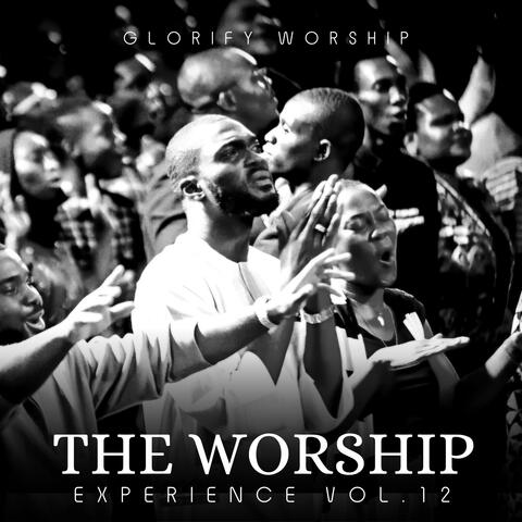 The Worship Experience, Vol. 12
