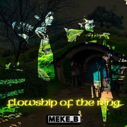 Flowship Of The Ring