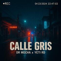 Calle Gris (feat. Dr mocha)