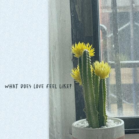 What Does Love Feel Like? (Live Sessions)