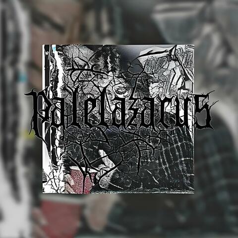 PALEWITCH