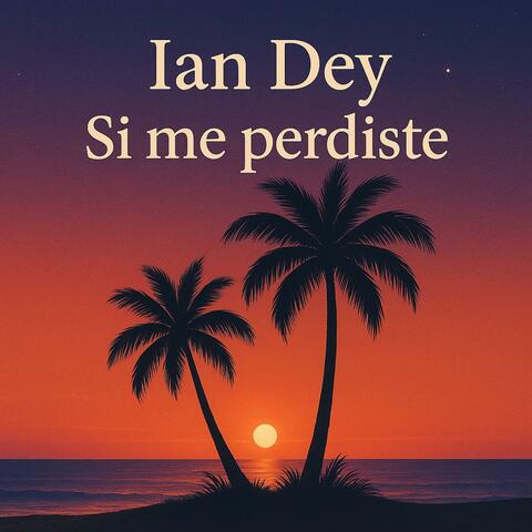 Si me perdiste