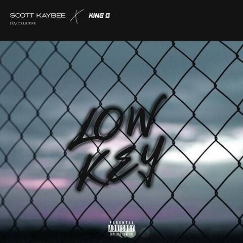 Lowkey (feat. King D)