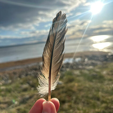 Innersta sidan av mig