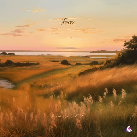 Forever (feat. Aleste)