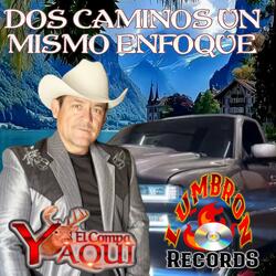 DOS CAMINOS UN MISMO ENFOQUE