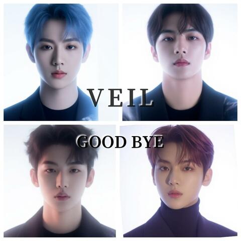 VEIL (GOOD BYE)