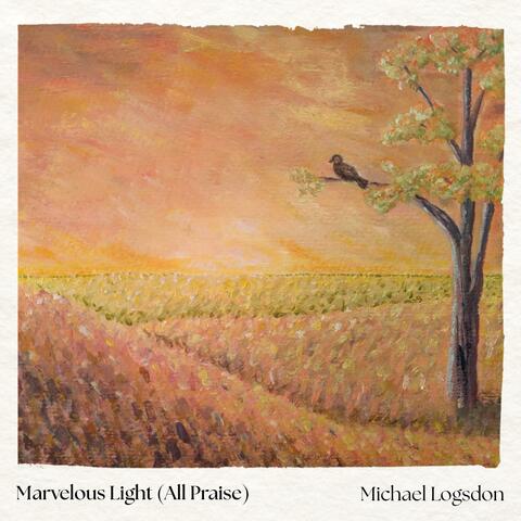 Marvelous Light (All Praise)