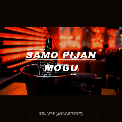 Samo pijan mogu da prebolim