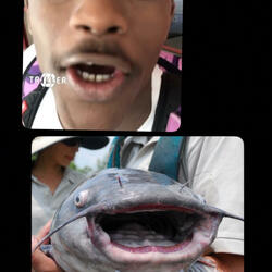 Watch it (Diss on Marcus)