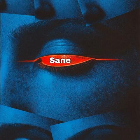 Sane
