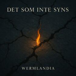 Det som inte syns