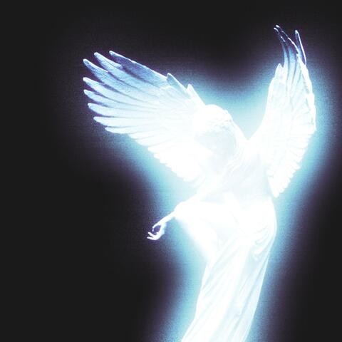 shine