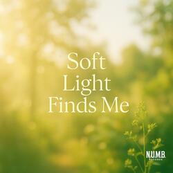 Soft Light Finds Me