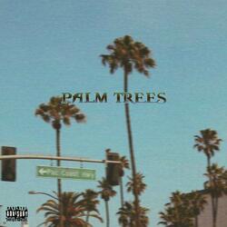 Palm Trees (feat. flvshmanwoah, Baby July & Code X Nightmare)
