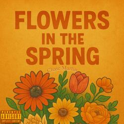 Flowers in the Spring