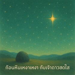 ก้อนหินเหงาเหงากับเจ้าดาวสดใส