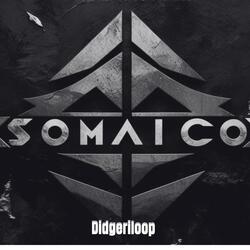 SOMAICO (feat. DIDGERILOOP)