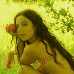 Apple Tree