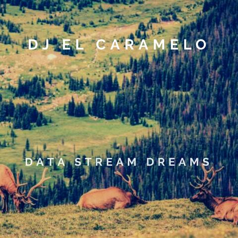 Data Stream Dreams