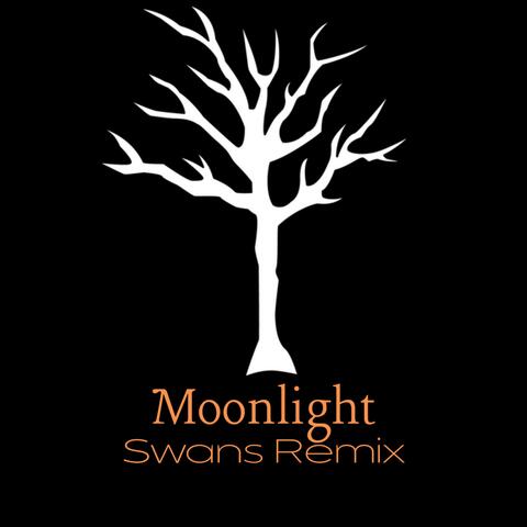 Moonlight (Swans Remix)