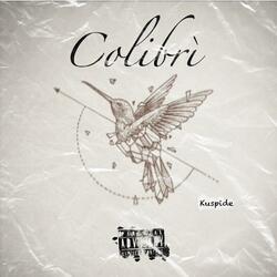 Colibrì