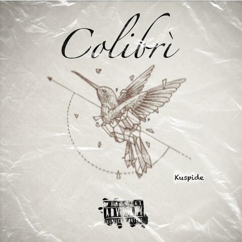 Colibrì