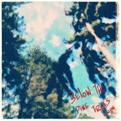 below the pine trees