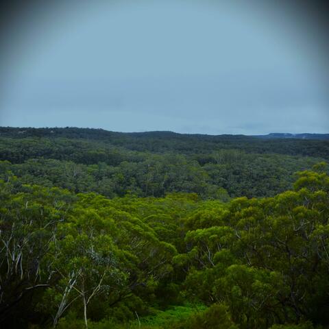 Happy Buddha Retreats in the Rain