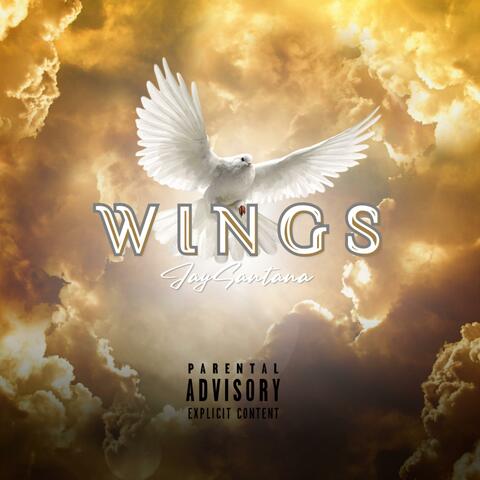 Wings