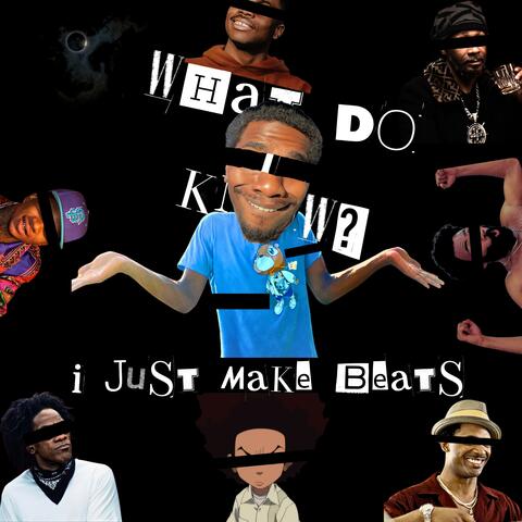 what do i know? i just make beats