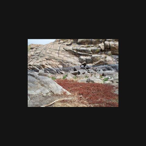 break loop (feat. CHARYBDIS)