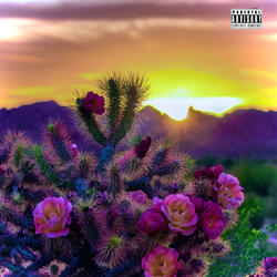 DESERT ROSE
