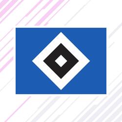 Nie mehr 2. Liga, HSV