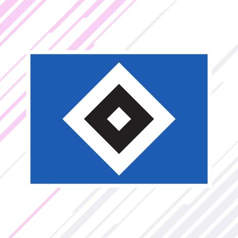 Nie mehr 2. Liga, HSV