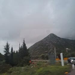 The Way