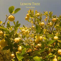 Lemon Tree