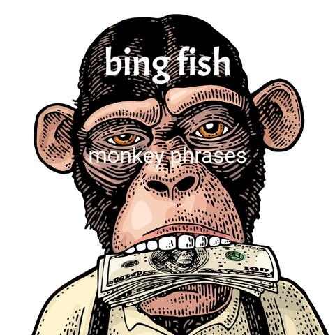 Monkey Phrases