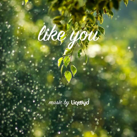 Like You