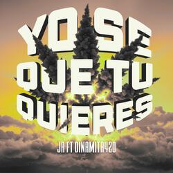 Yo se que Tu quieres (feat. Jr & Dinamita 420)