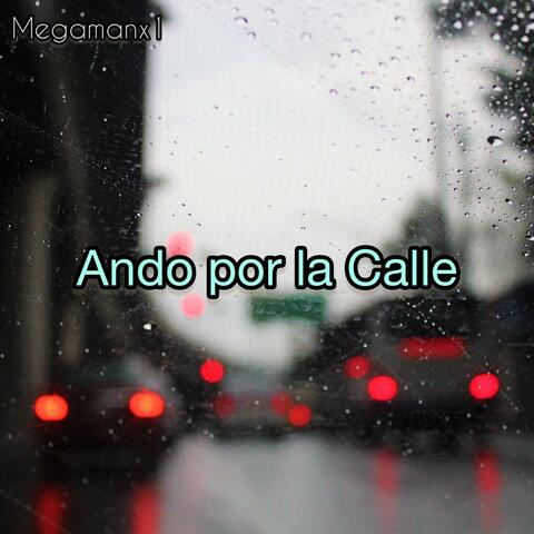 Ando por la calle