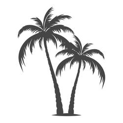 PalmTrees