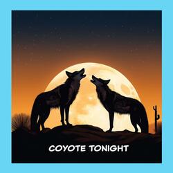 Coyote Tonight