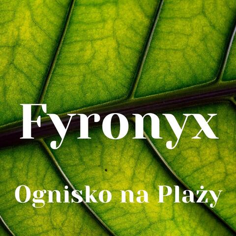 Ognisko na Plaży