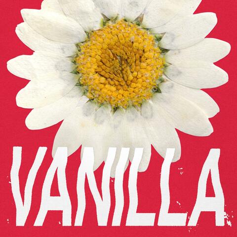 Vanilla