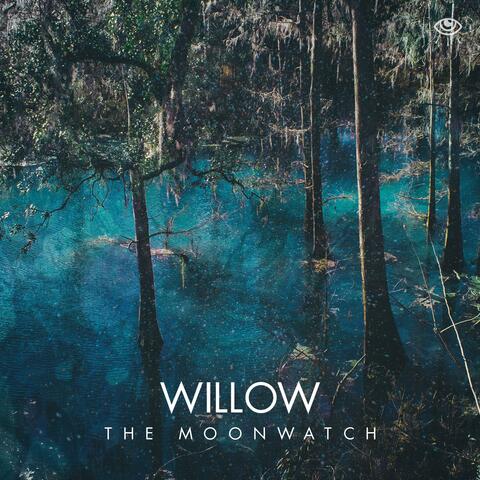 Willow