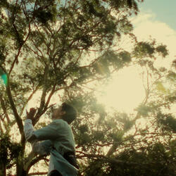 Momento del Salto